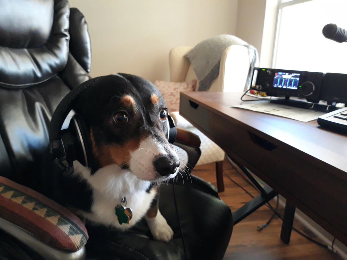 Primary Image for KA8VXW