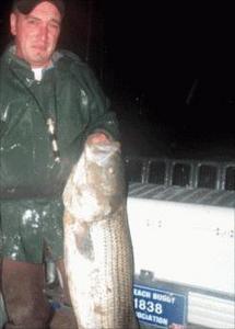 Primary Image for KC2RIW