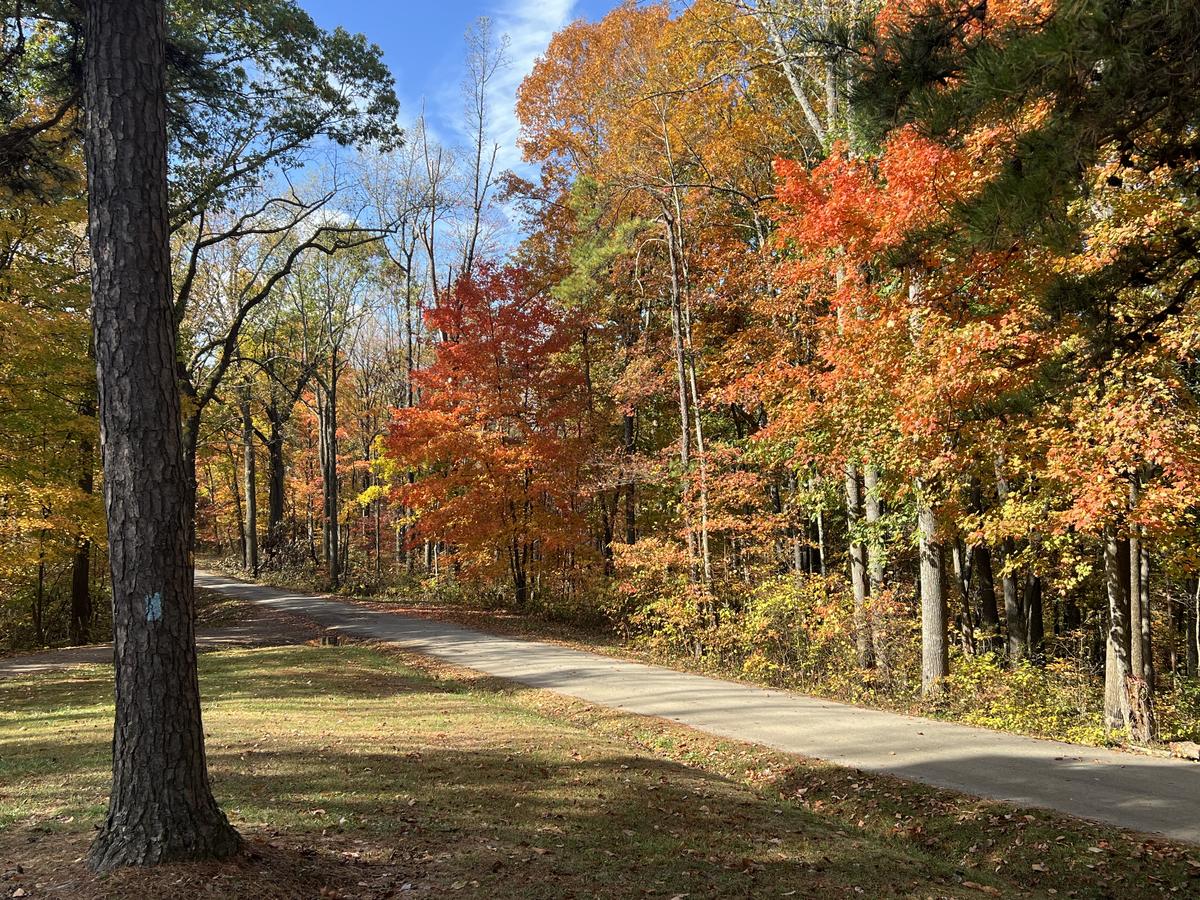 Primary Image for KF8CVW