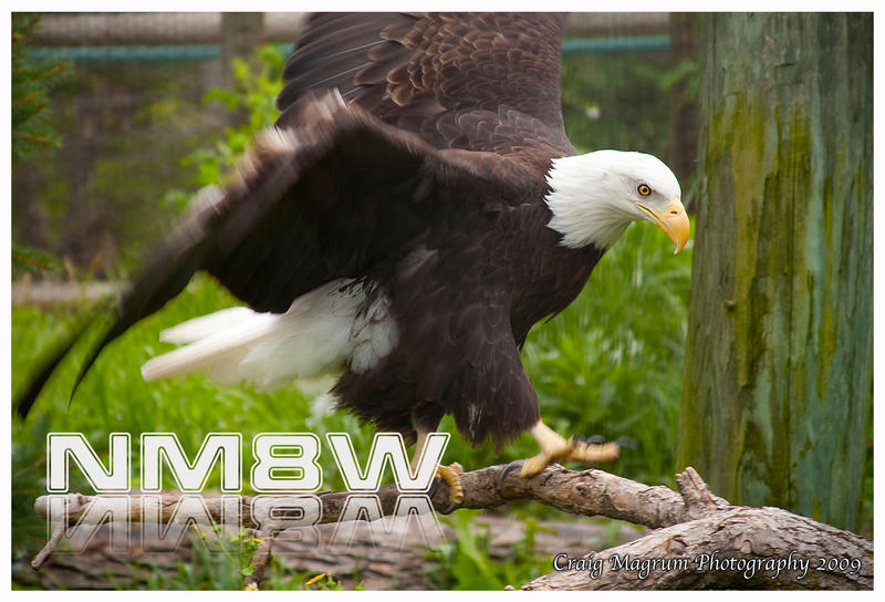 Primary Image for NM8W