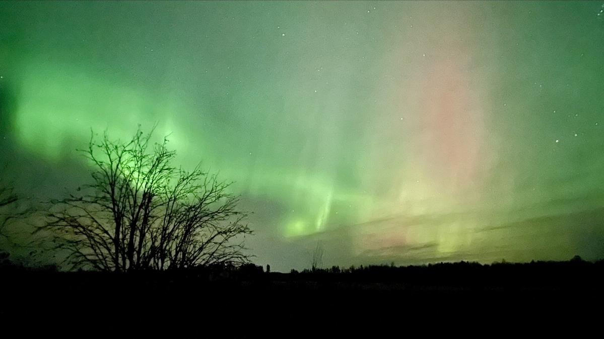 Primary Image for OG1W