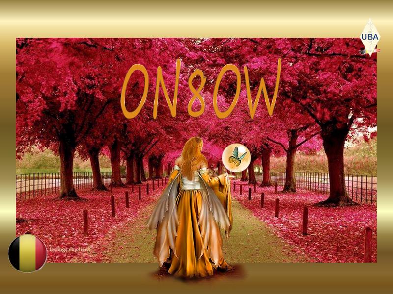 Primary Image for ON8OW