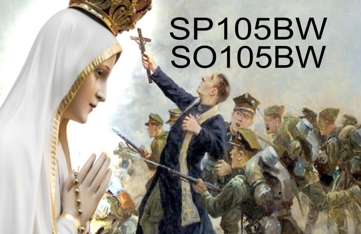Primary Image for SP105BW
