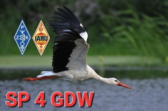 Primary Image for SP4GDW