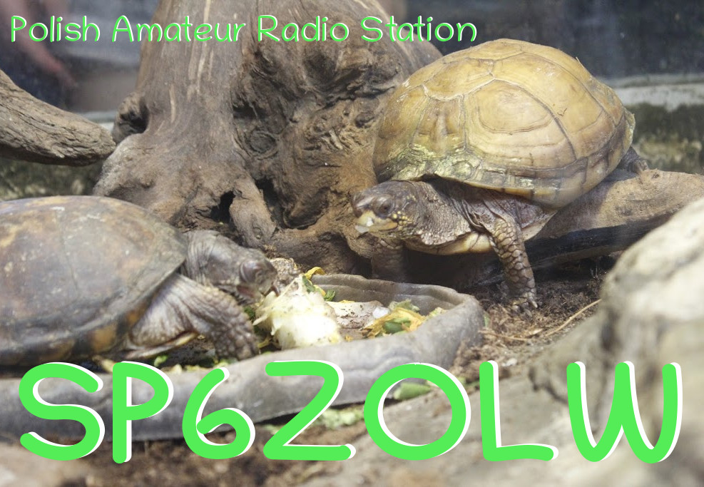 Primary Image for SP6ZOLW