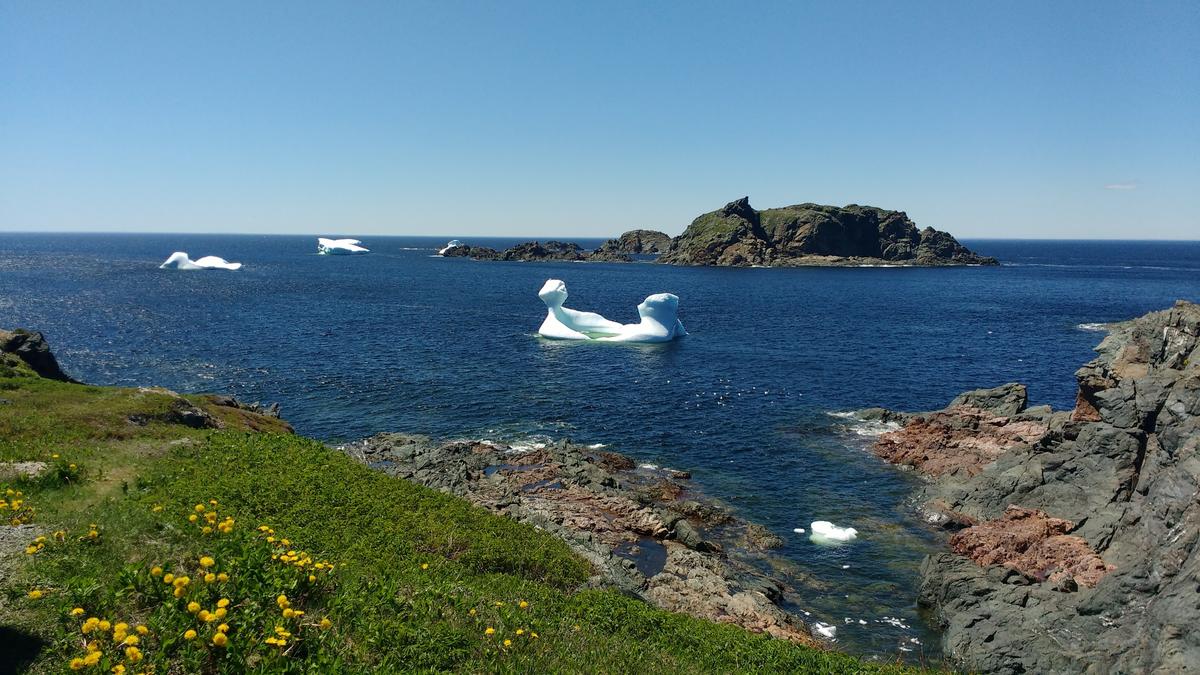 Primary Image for VO1SW