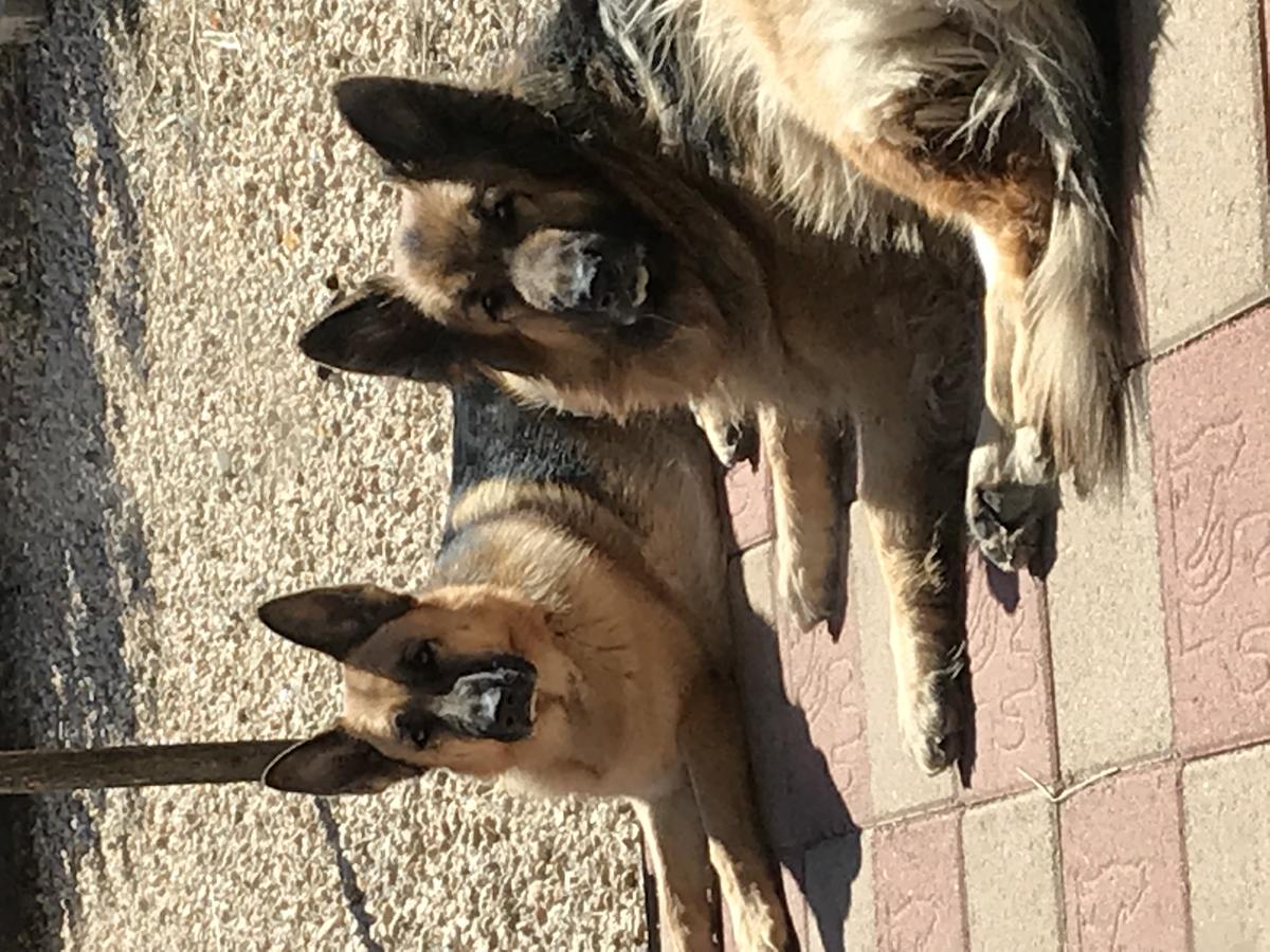 Primary Image for W1ADW