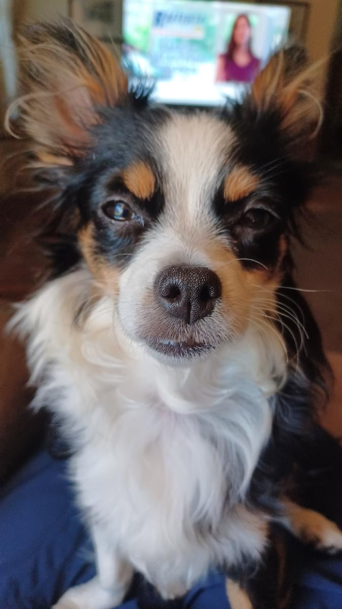 Primary Image for W2JJW