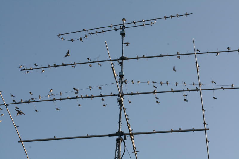 Primary Image for DL2KBX