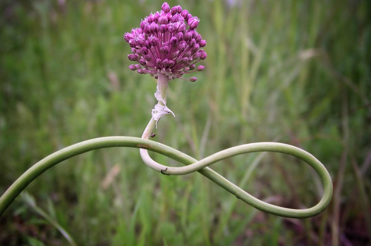 Primary Image for EA5JBX