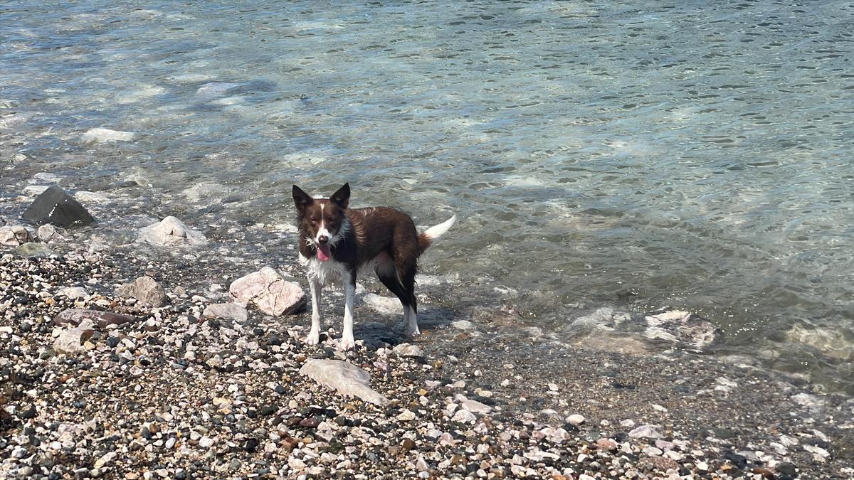 Primary Image for G3DXX