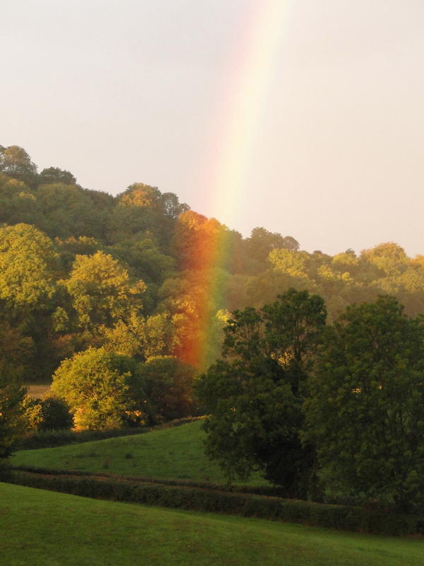 Primary Image for G4JQX