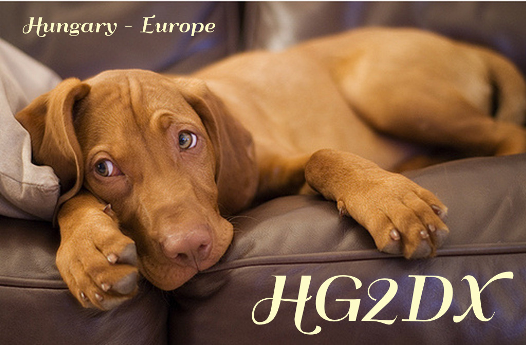 Primary Image for HG2DX