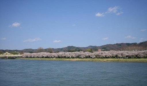 Primary Image for JK1AJX