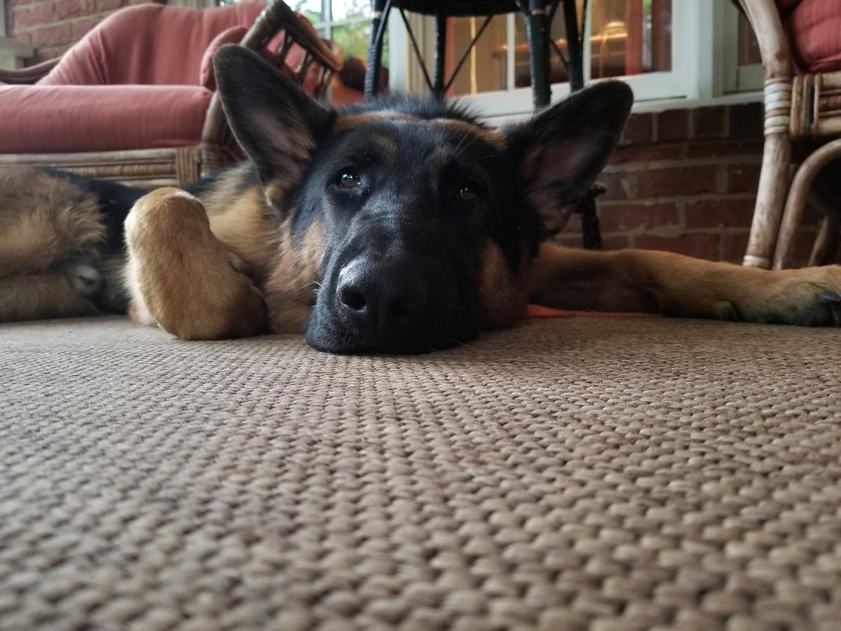 Primary Image for NF2X