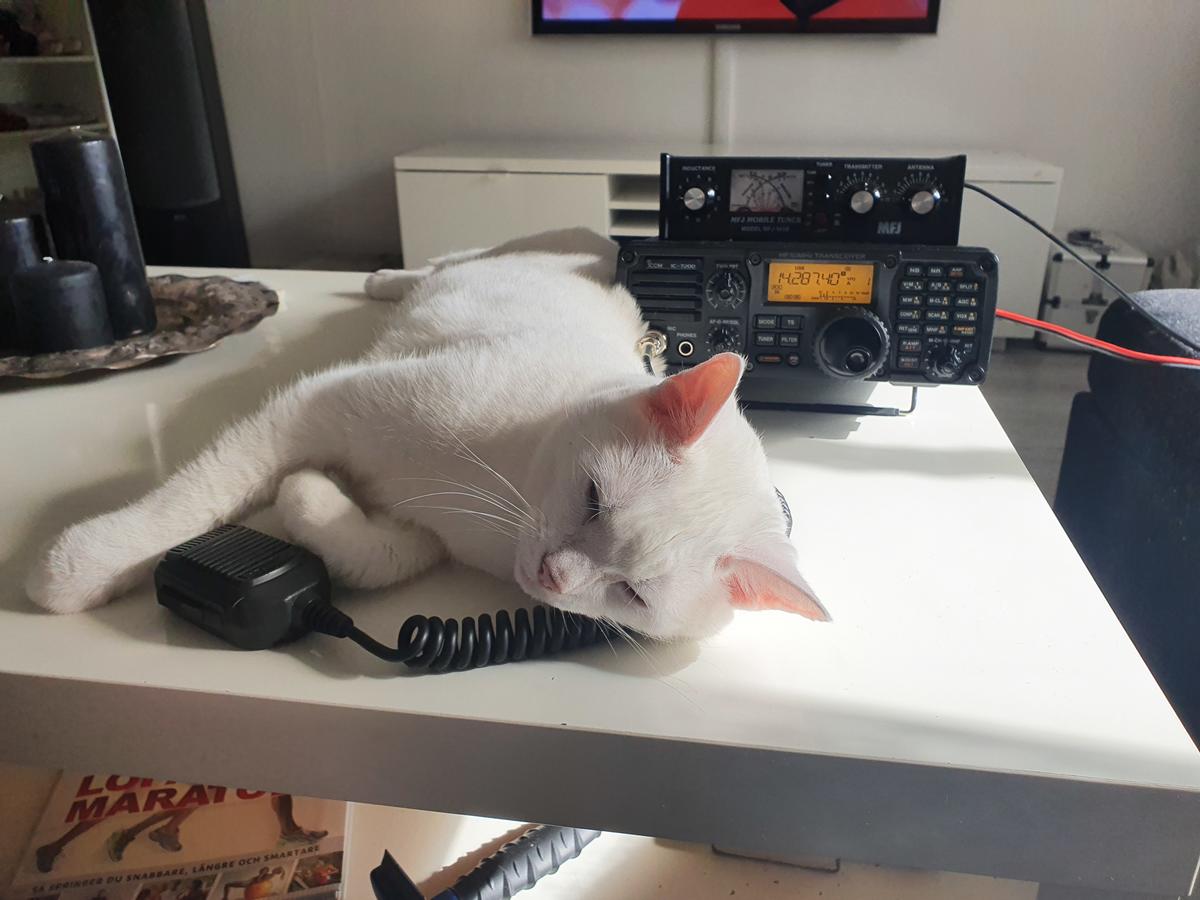 Primary Image for SA6FAX