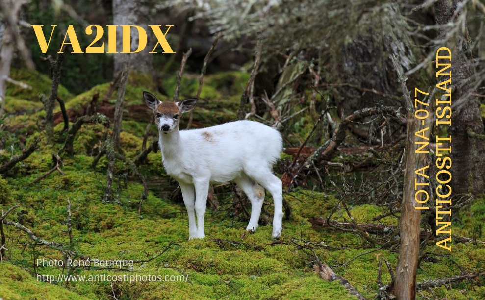 Primary Image for VA2IDX