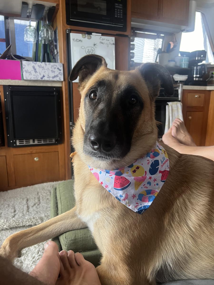 Primary Image for W4GX