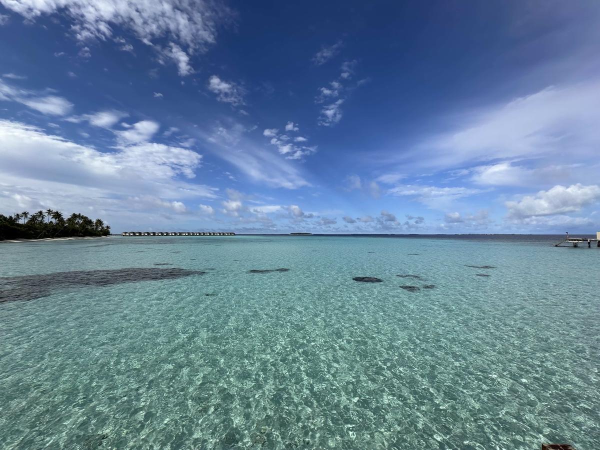 Primary Image for 8Q7WY