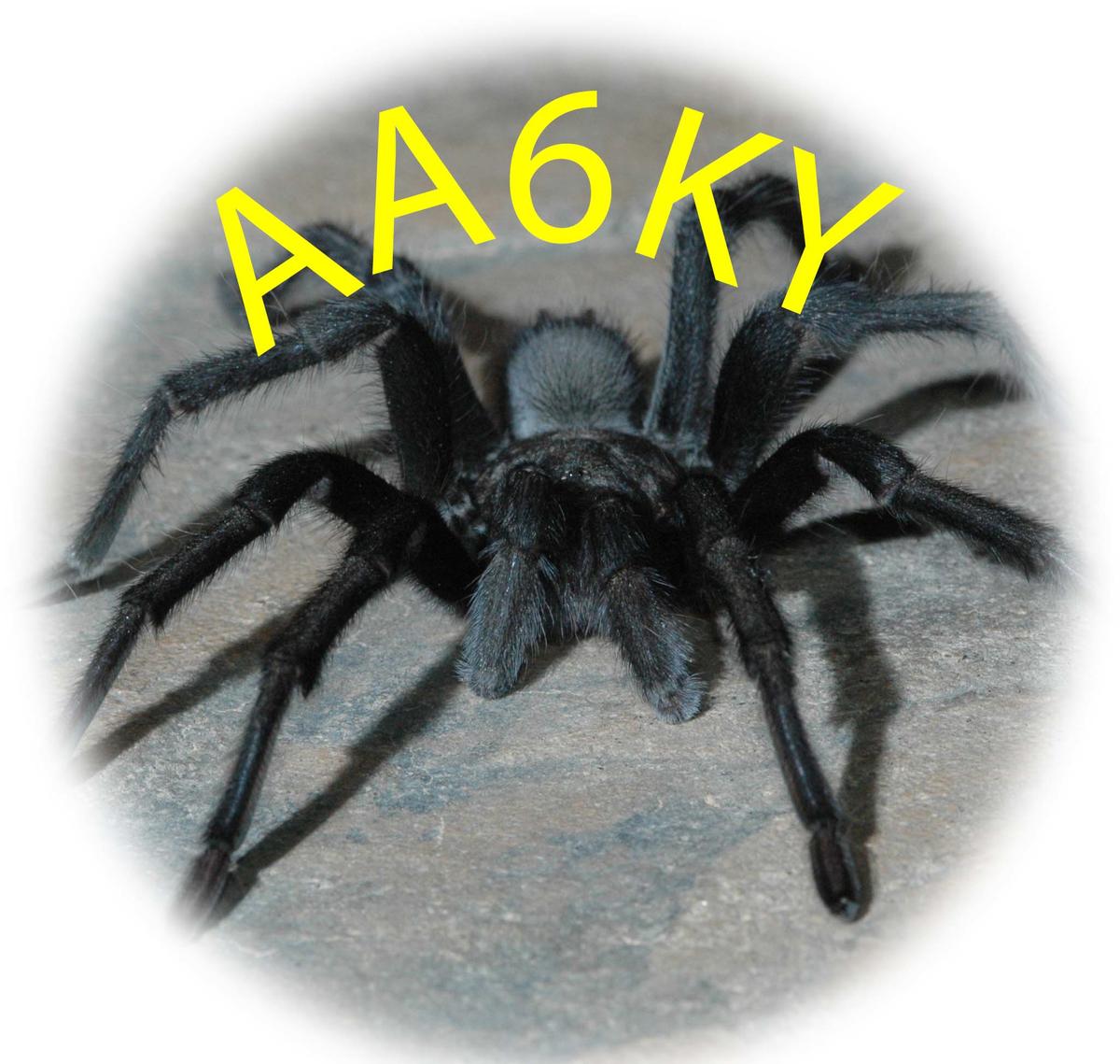 Primary Image for AA6KY