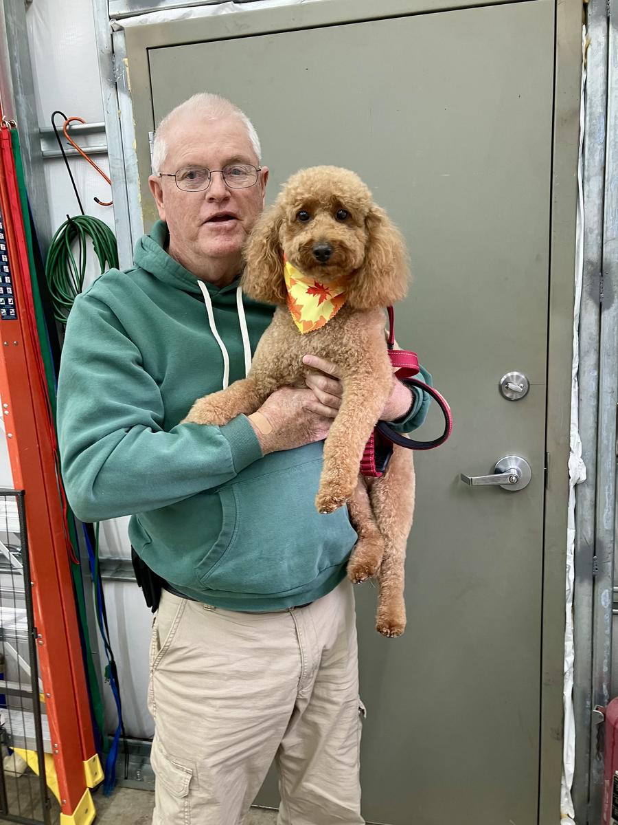 Primary Image for AG4RY