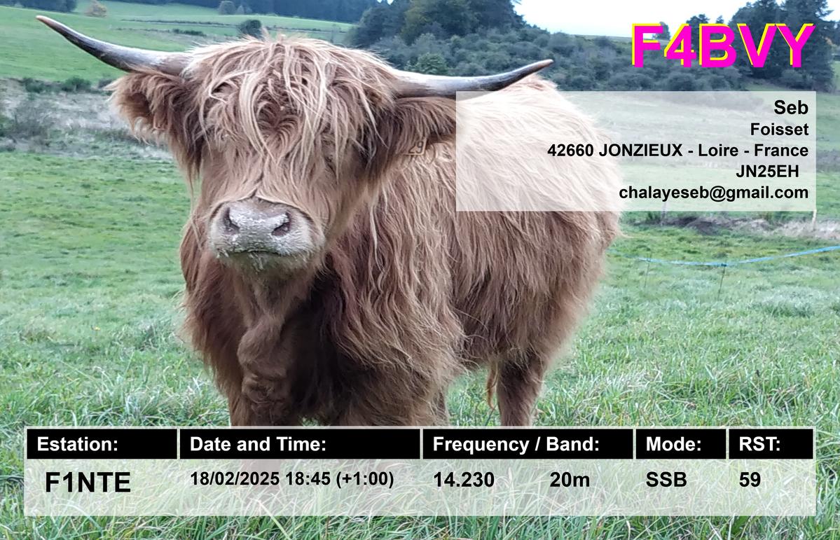 Primary Image for F4BVY