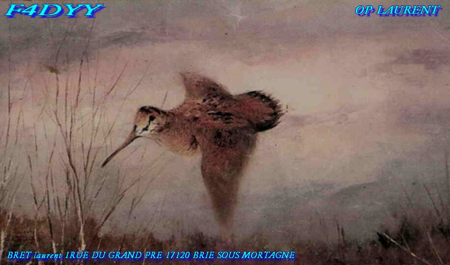 Primary Image for F4DYY