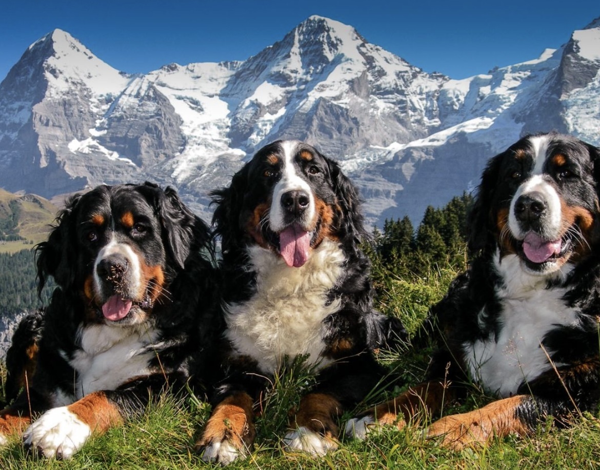 Primary Image for HB3YBY