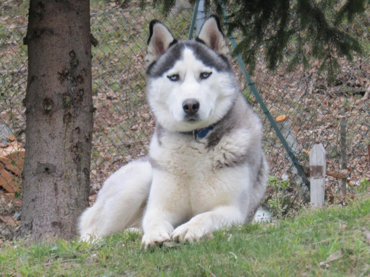 Primary Image for IU4GPY