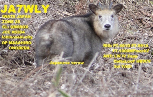 Primary Image for JA7WLY