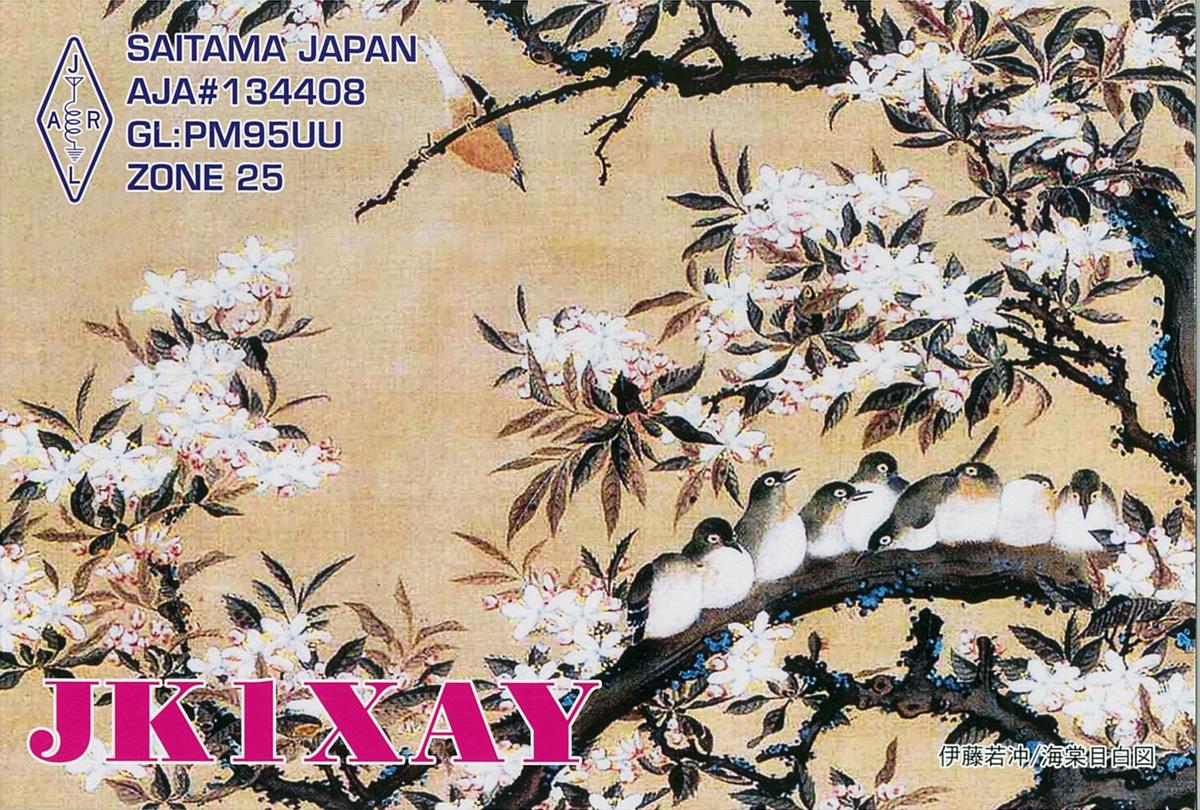 Primary Image for JK1XAY