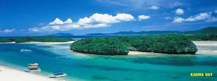 Primary Image for JS6UKY