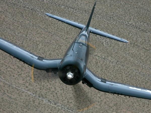 Primary Image for K1DLY