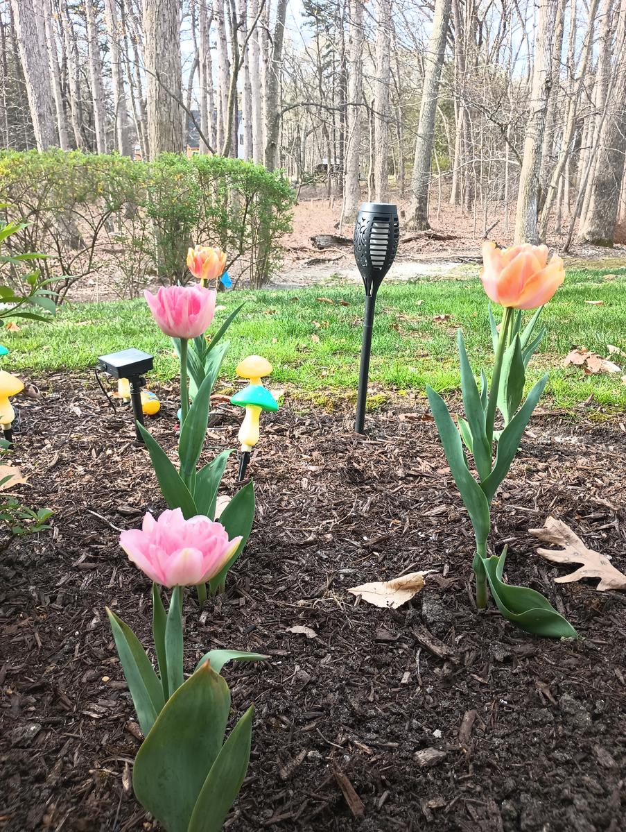 Primary Image for KE2FKY