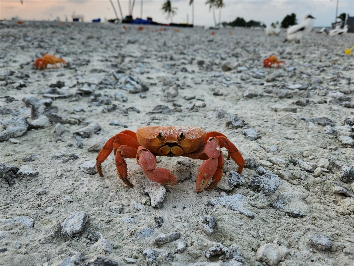 Primary Image for KE4KY