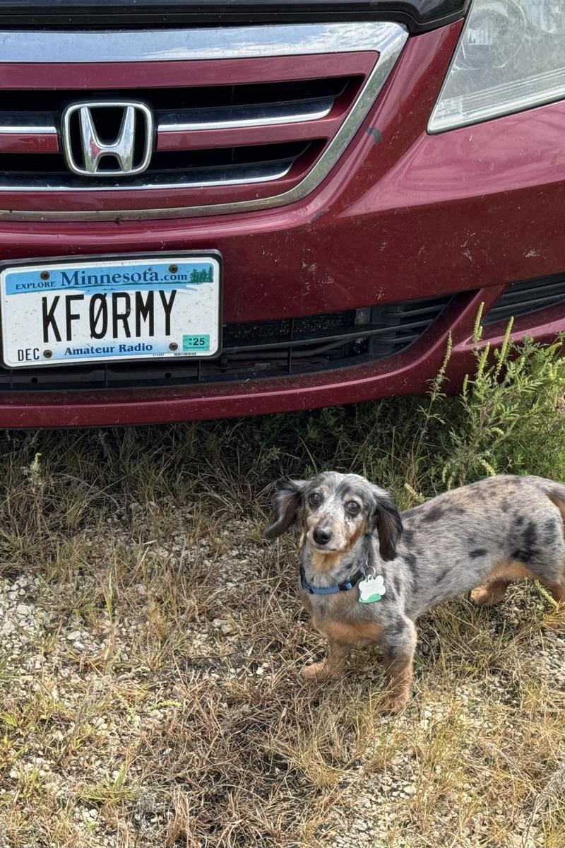Primary Image for KF0RMY
