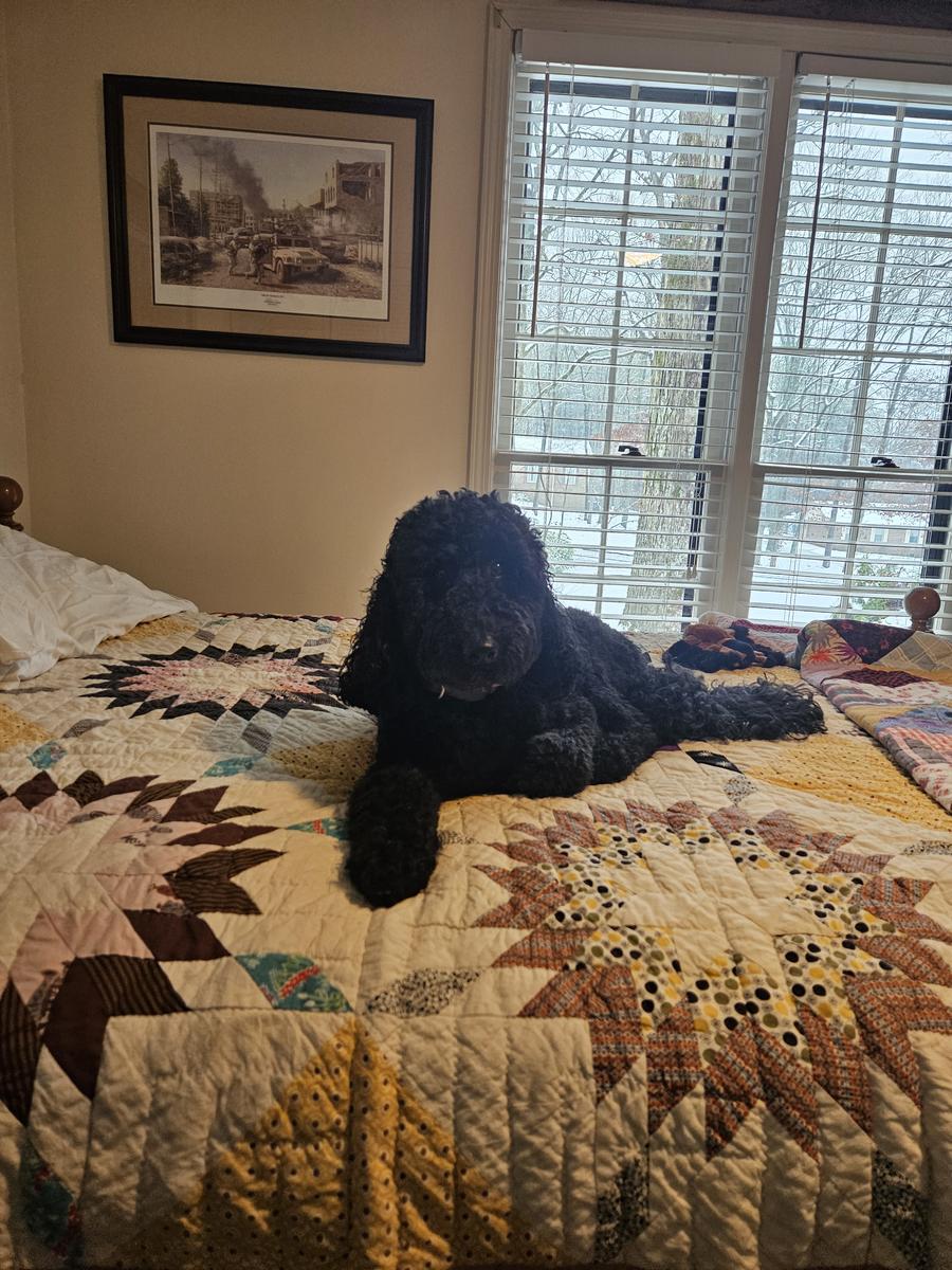 Primary Image for KQ4WAY