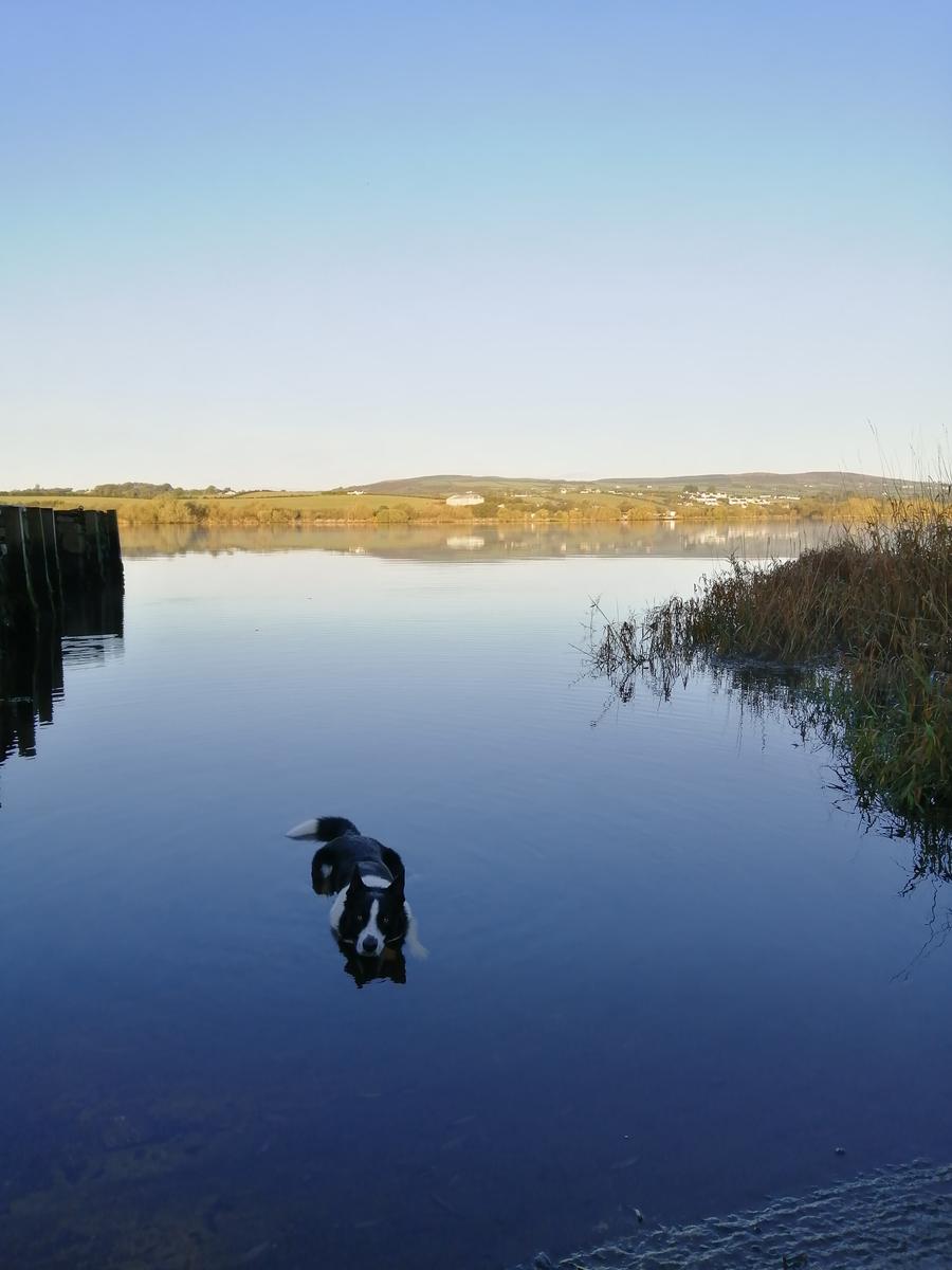 Primary Image for MI7FHY