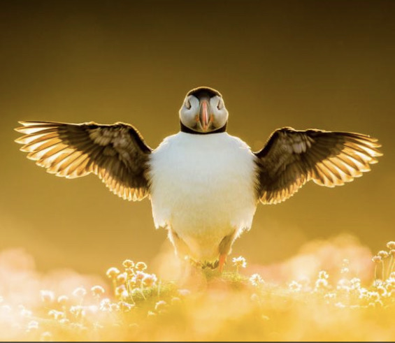 Primary Image for MM0RMY