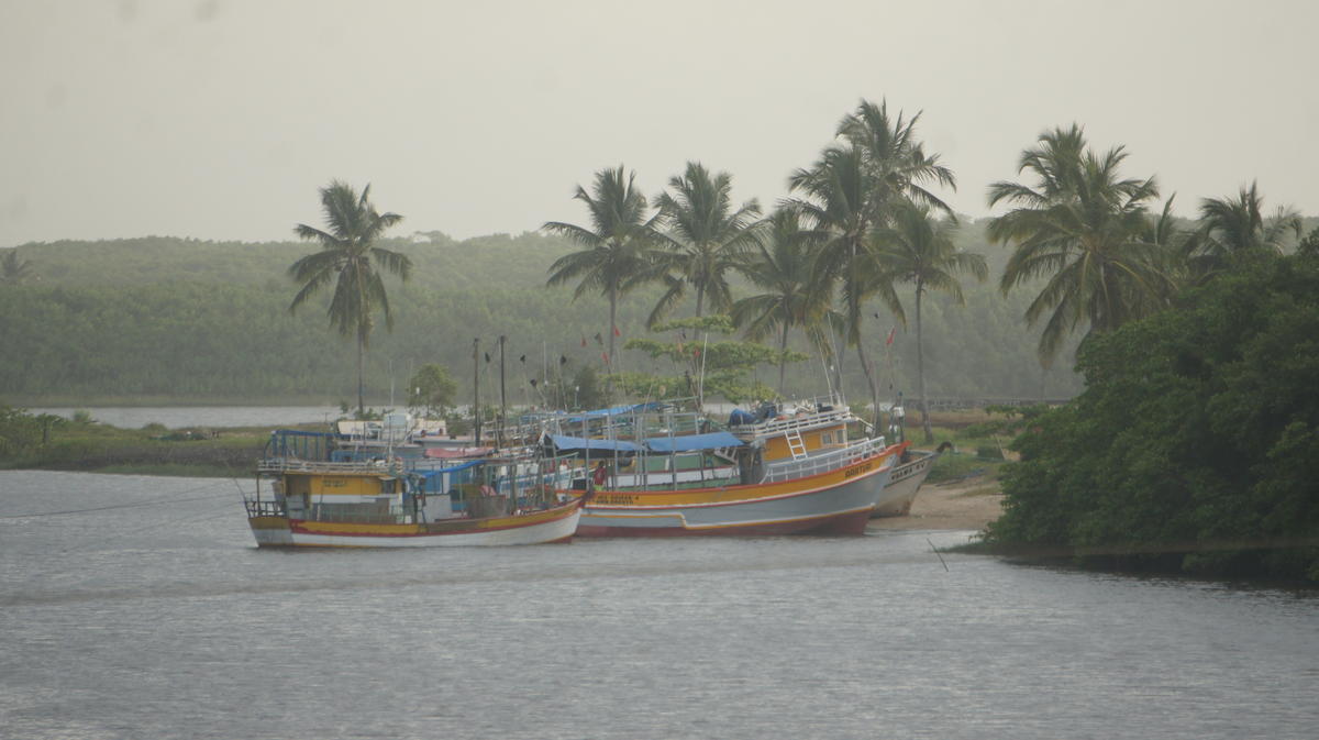 Primary Image for PY6MY