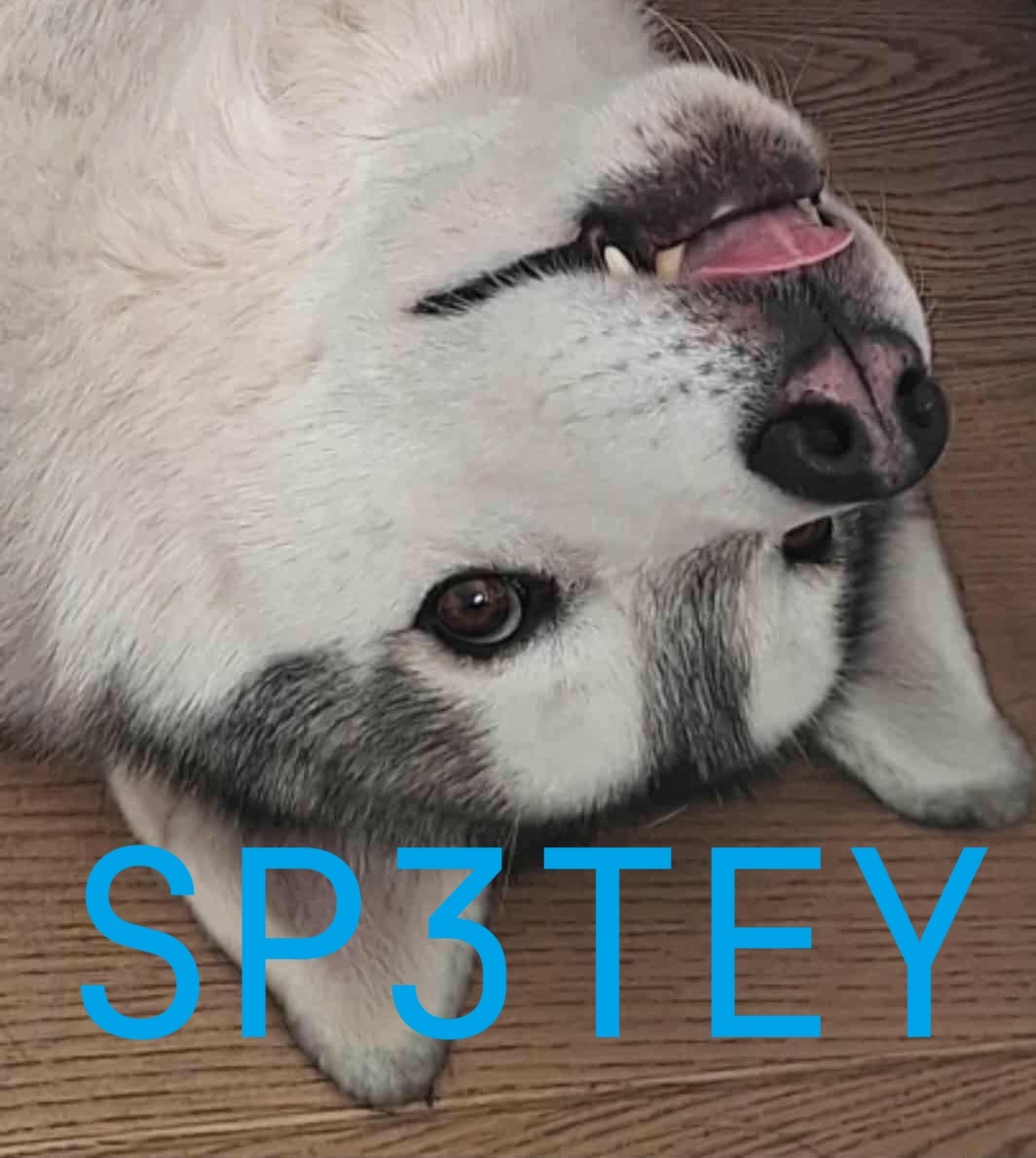 Primary Image for SP3TEY