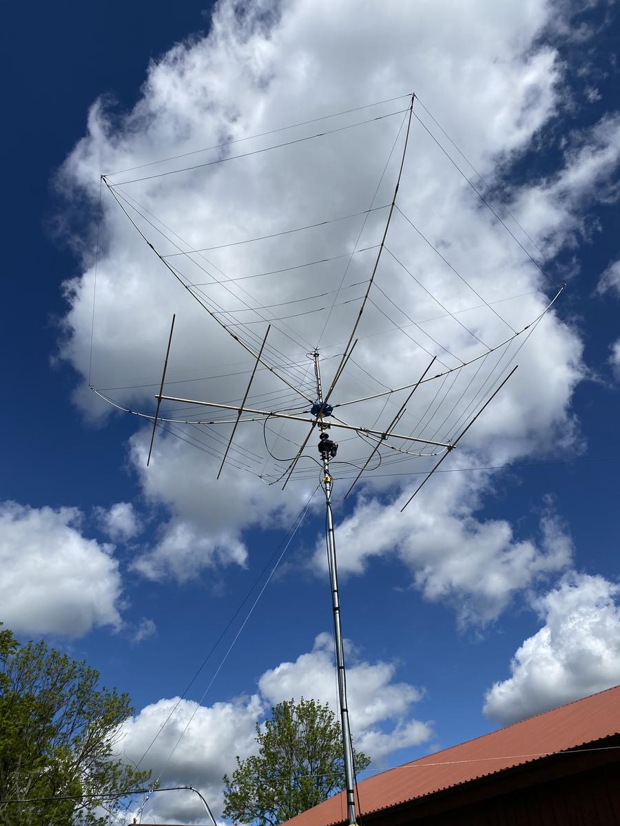 Primary Image for SP4NDY