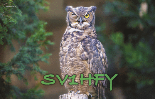 Primary Image for SV1HFY