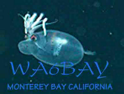 Primary Image for WA6BAY