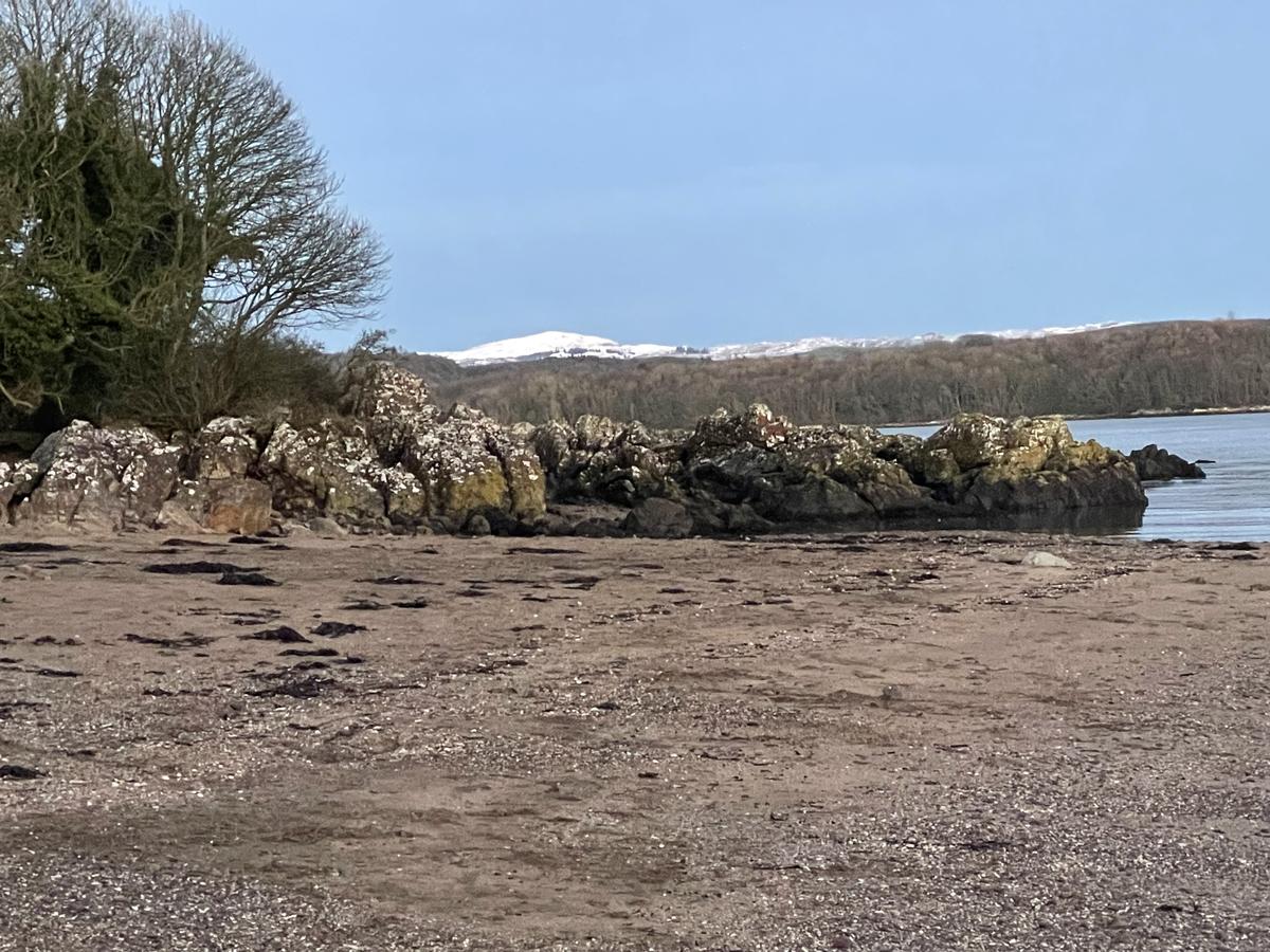 Primary Image for 2E0MFZ