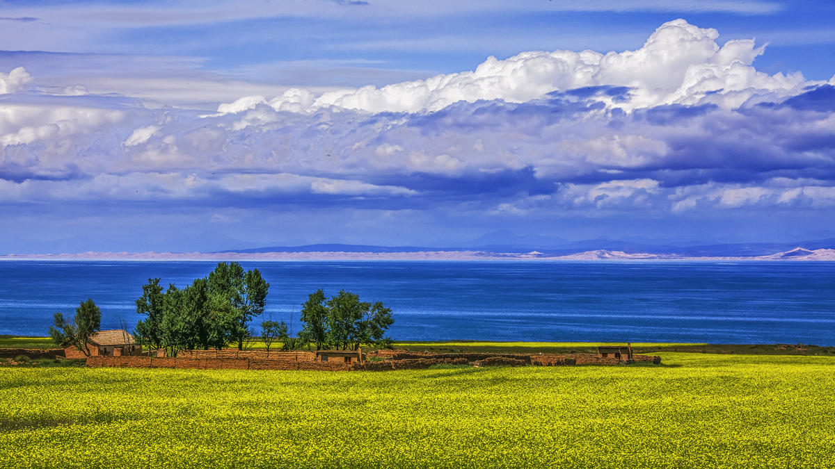 Primary Image for BG9SEZ