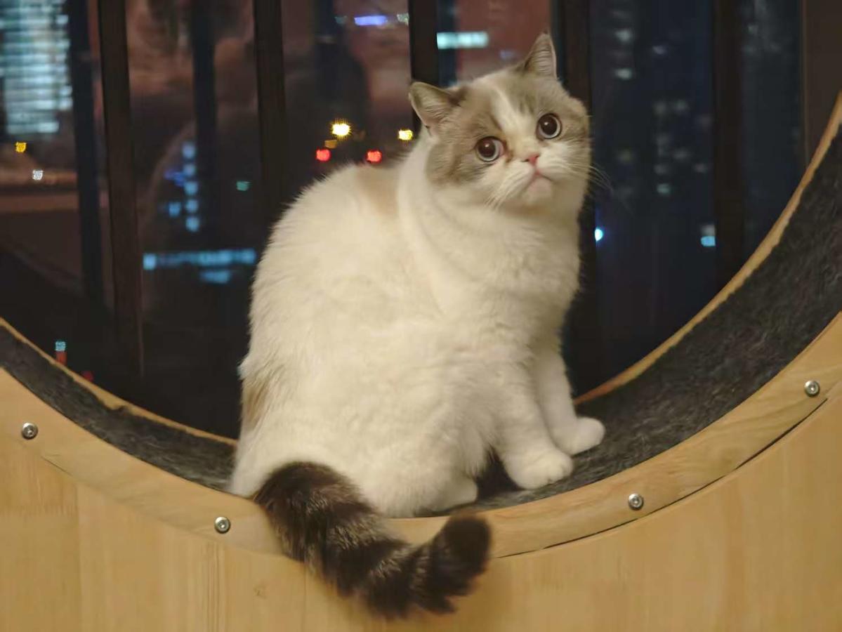 Primary Image for BI4XWZ