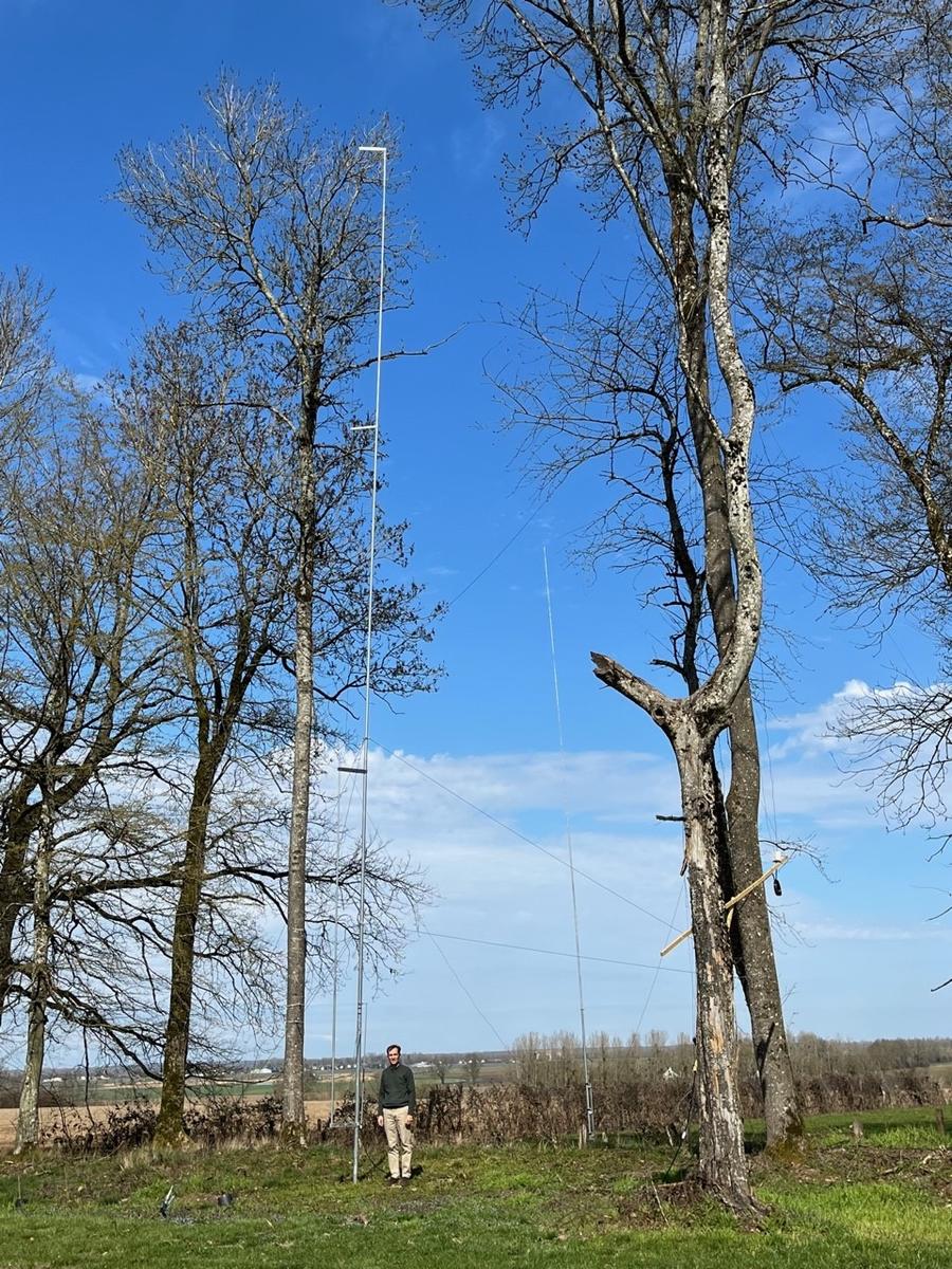 Primary Image for F1PBZ