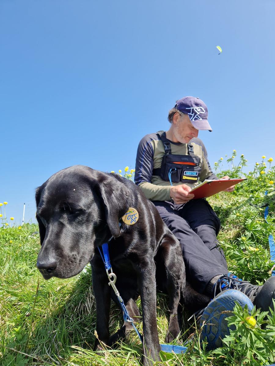 Primary Image for HB9TNZ