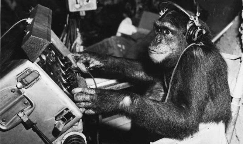 Primary Image for IU2BJZ